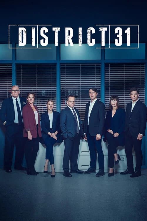 District 31 movie poster